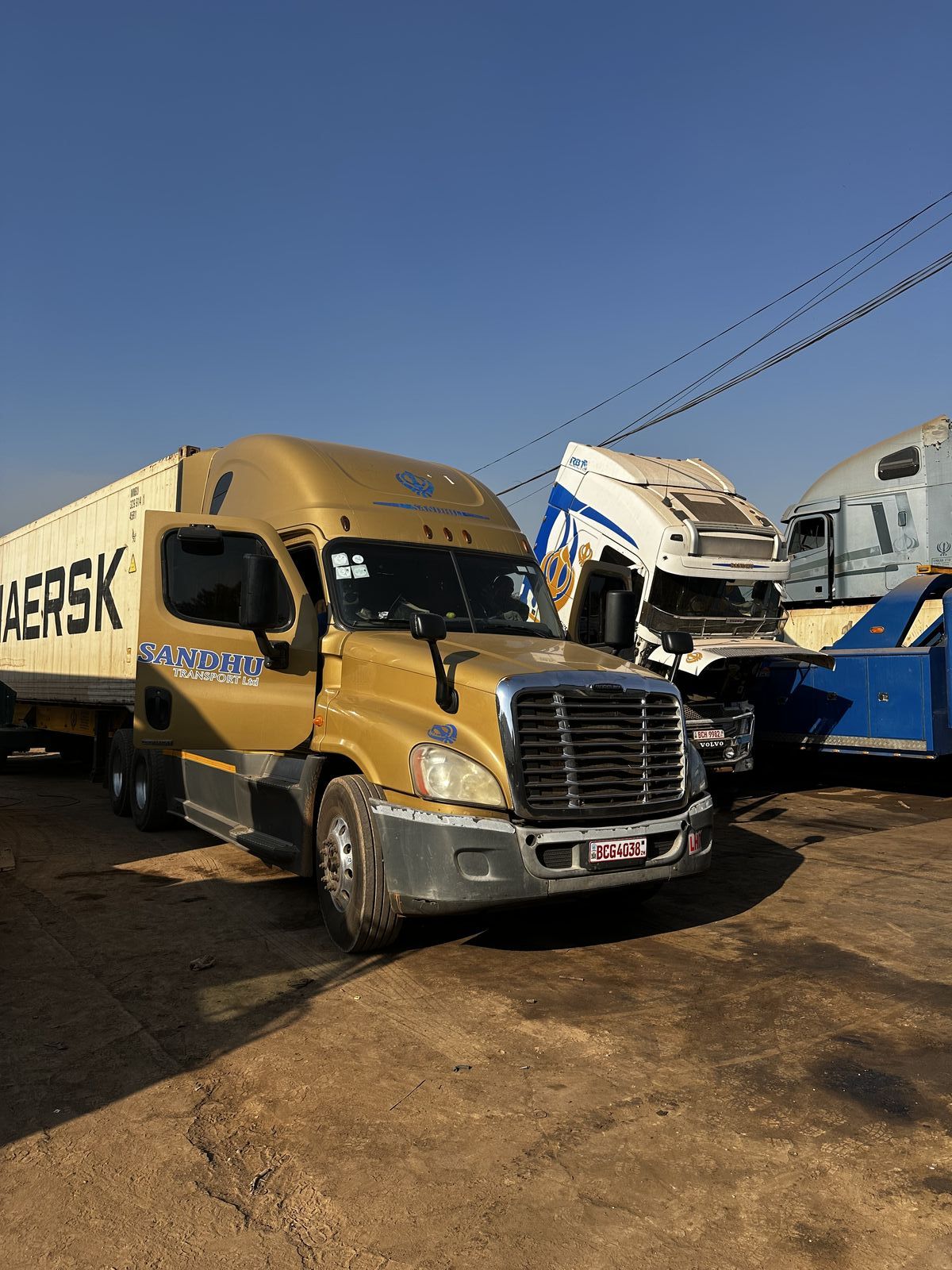 Sandhu Transport gold Freightliner